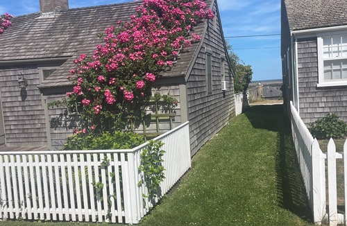 Siasconset Cottage | Historical Rose Covered Cottage with Ocean View