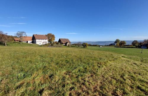 Horgen District House | Historisches Doppel - Riegelbauernhaus