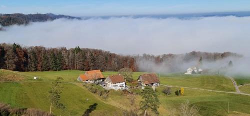 Horgen District House | Historisches Doppel - Riegelbauernhaus