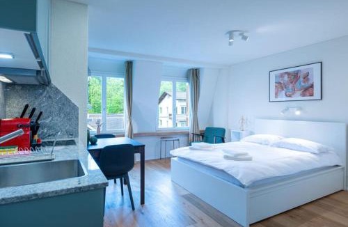Hirslanden Apartment | HITrental Riesbach Apartments