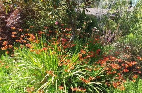 Woodend North Bed & Breakfast | Hobreid Park