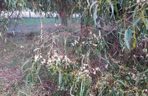 Woodend North House | Hobreid Park