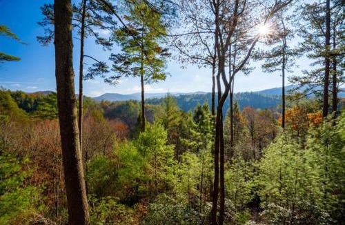 Cherry Log House | Hog Heaven - Cherry Log GA - Pet Friendly Cabin