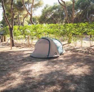 Vallpineda Other | HolaCamp Sitges Garrofer