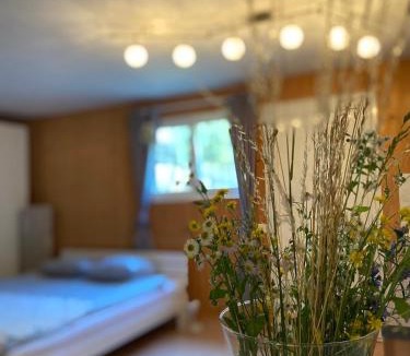 Coglio Apartment | Holiday accomodation