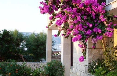 Povlja House | Holiday apartment "Apartment "Ana""