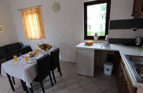 Malinska Apartment | Holiday apartment mit Klimaanlage und Balkon