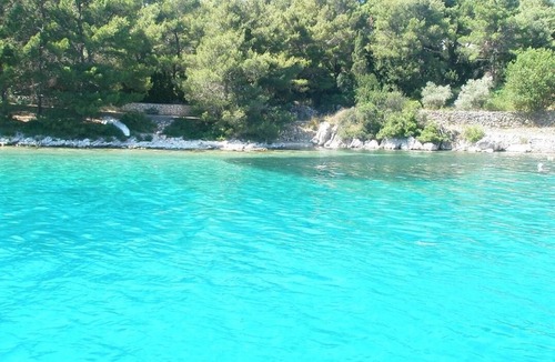 Molat Apartment | Holiday apartment Molat for 1 - 4 persons with 1 bedroom - Holiday apartment
