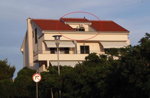 Povljana Apartment | Holiday apartment only 250 m from the beach
