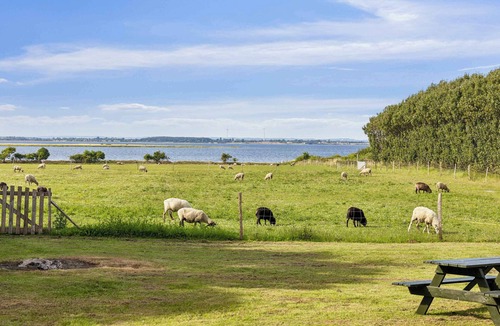 Rudkobing Apartment | Holiday apartment with sea view on Strynø