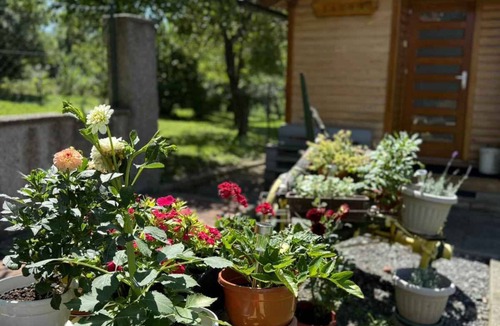 Gomirje Apartment | Holiday apartment with garden and barbecue