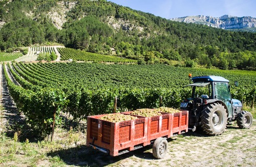 Chatillon-en-Diois Apartment | Holiday cottage Le Bouquet