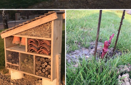 Magnant House | HOLIDAY COTTAGE 4 PERSONS