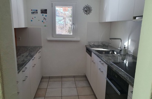La Punt-Chamues-ch Apartment | Holiday flat "Curtins Sassella 1"