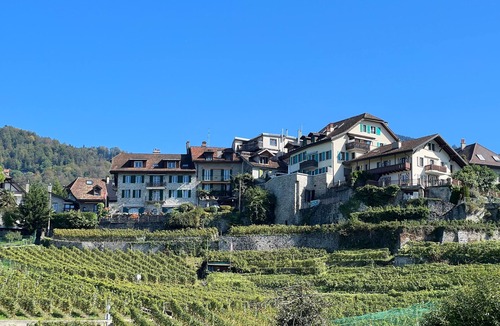 Montreux Apartment | Holiday flat "La Vigneronne, Appartement Le Lac"