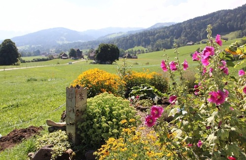 Wattwil House | Holiday flat Scheftenau in Toggenburg