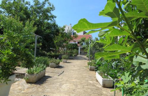 Loviste House | Holiday Home Artina 2