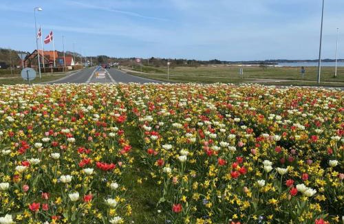 Lyngsbæk Strand House | Holiday Home Athisl - 800m from the sea by Interhome