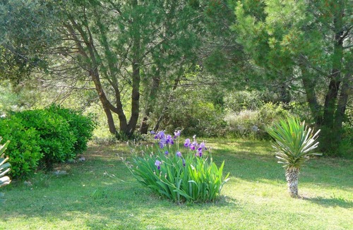 Ugljan House | Holiday home Božica, (15516), Ugljan, hr