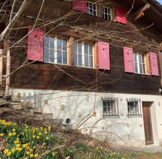 Sundlauenen House | Holiday Home Chalet Felsli by Interhome