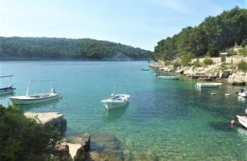 Cove Osibova (Milna) House | Holiday home Dean - 80m to the sea