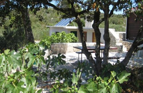 Zirje House | Holiday home Dusko - robinson