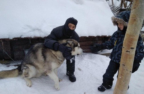 Konchezero House | Holiday home Elk