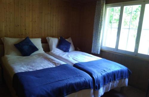 Stechelberg House | Holiday Home Ferien Cottage Flüehblüemli by Interhome