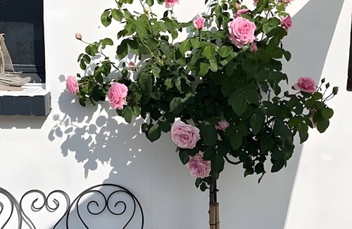 Boismont House | Holiday Home “Gîte Le Pré Salé” with Private Terrace and Wi-Fi