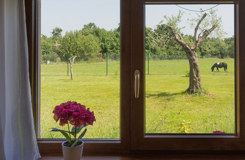 Barbariga House | Holiday Home Vodnjan with Pool & Sea