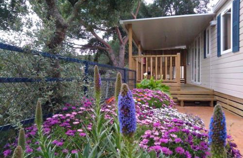 Calella Resort | Holiday home in Calella de la Costa 3641