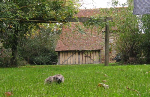 Ceauce House | Holiday Home in Ceaucé near Mont Saint Michel