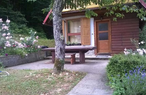 Skrad House | Holiday home in the forest next to river
