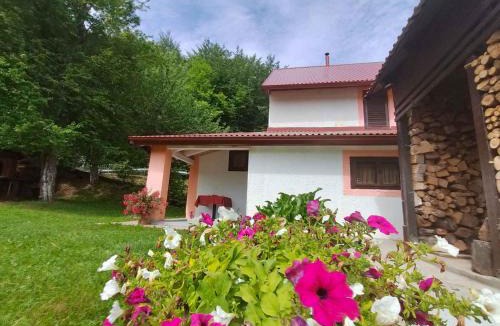 Trnovac House | Holiday home in Trnovac 17132
