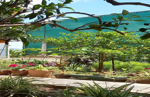 Lumbarda House | Holiday Home Kata - Two-Bedroom Holiday Home with Balcony