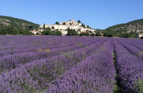 Banon House | Holiday Home L ancien Hôtel Creste by Interhome