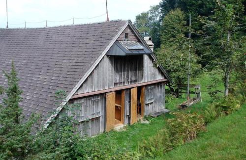 Ebnat-Kappel House | Holiday Home Ruchweid by Interhome