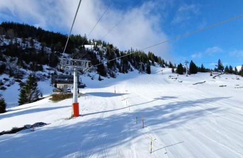 Alt Sankt Johann House | Holiday Home Ski- und Gruppenhaus by Interhome