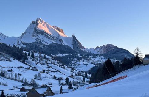 Alt Sankt Johann House | Holiday Home Ski- und Gruppenhaus by Interhome