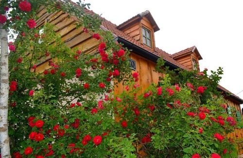 Perusic House | Holiday home Stara Lika - Two Bedroom Holiday Home with Terrace