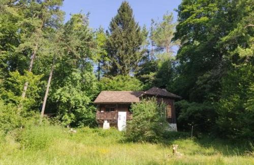 Merishausen House | Holiday Home Waldhaus auf Randen by Interhome
