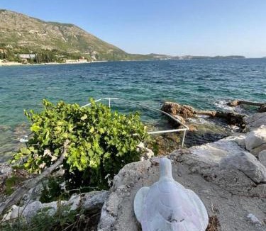 Zupa dubrovacka Apartment | Holiday House Barka