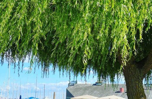 Vedbaek House | Holiday house near forrest, harbor and beach