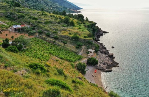Bol House | Holiday house Smokovlje - sea view and vineyard - Bol, Island Brac, Croatia
