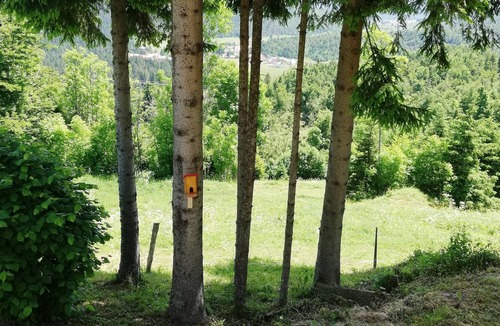 Brestova Draga House | Holiday house with a parking space Brestova Draga, Gorski kotar (K-18374)