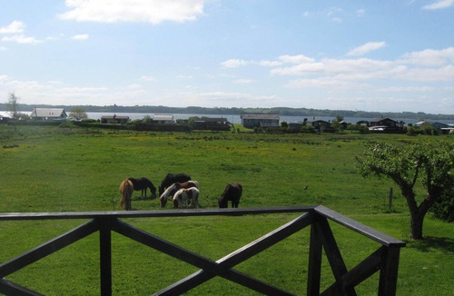 Aabenraa House | Holiday house with sea view