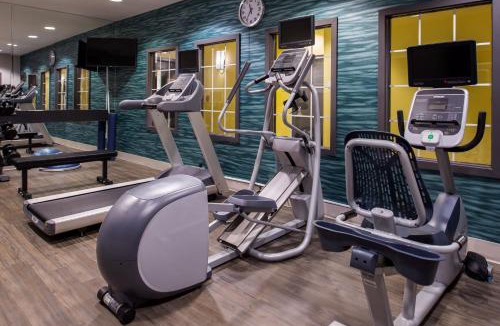 Addison Hotel | Holiday Inn and Suites Addison by IHG