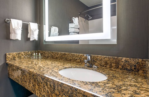 Auburn Hotel | Holiday Inn Auburn by IHG