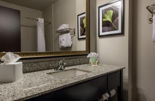 Austin Hotel | Holiday Inn Austin Airport by IHG