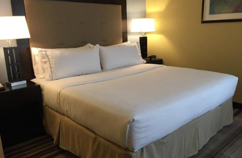 Arlington Heights Hotel | Holiday Inn Express Chicago NW - Arlington Heights by IHG